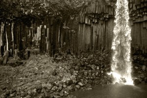 3367680400_bea458a90f_b