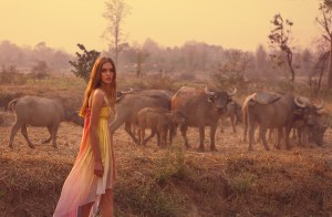 54d0e078be2f7790dcc9457afaf7fddb