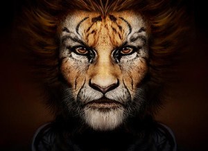 8f71e88e229364a257870d76a9188282