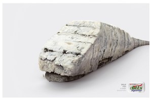 2096951777_d317b0ceb8_o