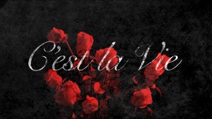 43ae9acb0a3023505f9952425308d1cc