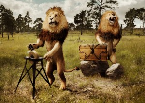 736f18063cfb781de41e567b2ba6dceb