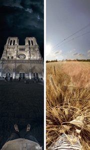 ced45ba778c7ad2a6c27edd8bda59bcf