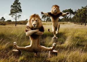 de47cf05193ca17b38f41e3c06c0172c