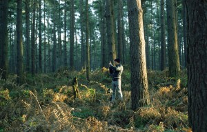 tumblr_n0svq6i5t31qld5rjo1_1280