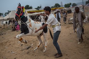 1de2de7189a193a09ab614e05f1f9a1c