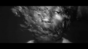 90b73430385215.56202a333d57f